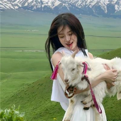 大获拳胜海报