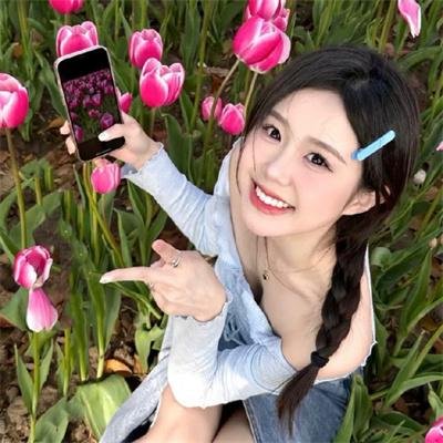 安东与安东妮海报